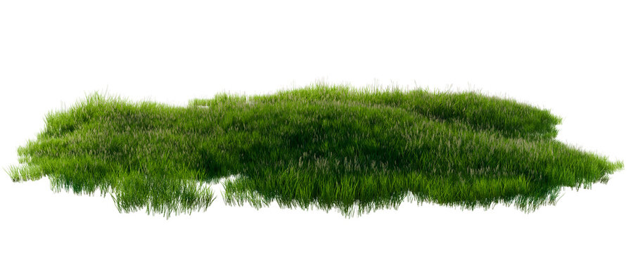 Isolated Patch Of Lush Green Grass With Natural Texture And Tall Blades