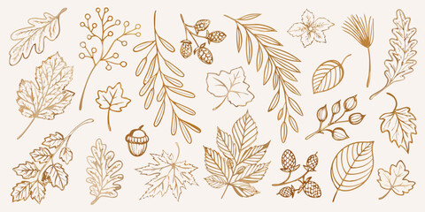 Vintage botanical illustration featuring various autumnal leaves and natural elements © ShibuProsad