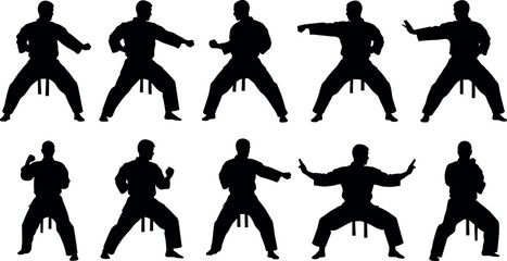 Black karate silhouettes set of man performing various martial arts positions kata movements and fighting stances isolated on white background © Natasha Laura 