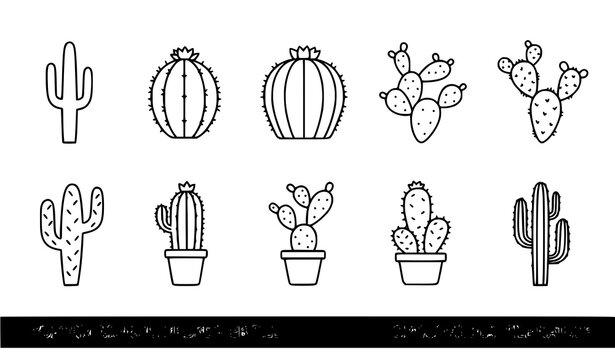Cactus Outline Icon Set Desert Plant Linear Nature Vector Collection Transparent