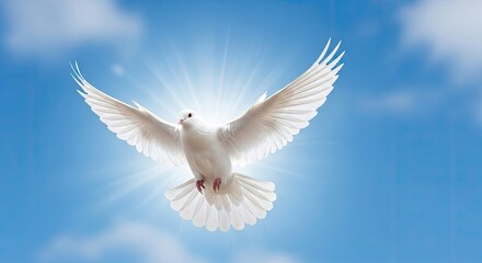 Fototapeta premium A white dove soars gracefully through a bright blue sky filled with fluffy white clouds. The dove is illuminated by a radiant burst of light, symbolizing peace and freedom.