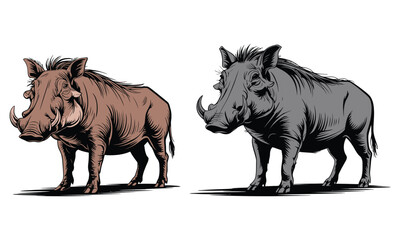 Obraz premium warthog vector