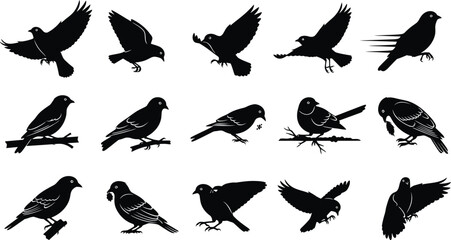 Fototapeta premium Collection of black silhouettes of birds in various poses