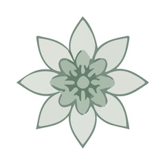 Stylized Edelweiss Flower Icon