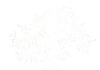 A serene landscape with a winding path leading to a distant mountain range isolated on transparent background