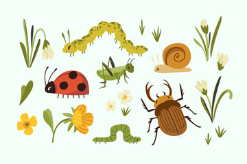 Collection of vector cute childish bugs. Isolated illustrations set of beetle, ladybird, caterpillar, snail, grasshopper and spring flowers © Vursik Fox
