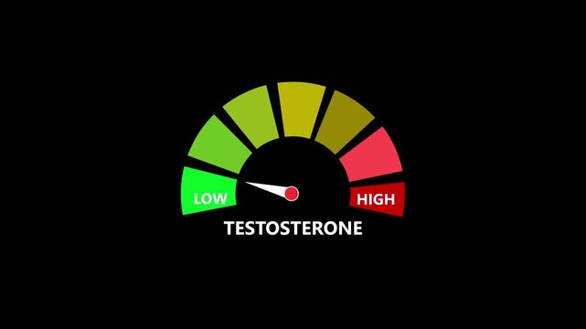 Low testosterone level indicator gauge animation medical health visualization low testosterone gauge