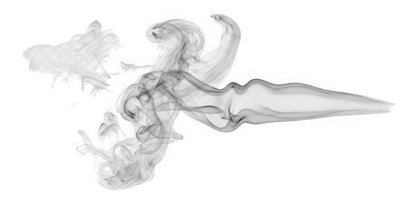 A mesmerizing smoke silhouette floats gently on a transparent background