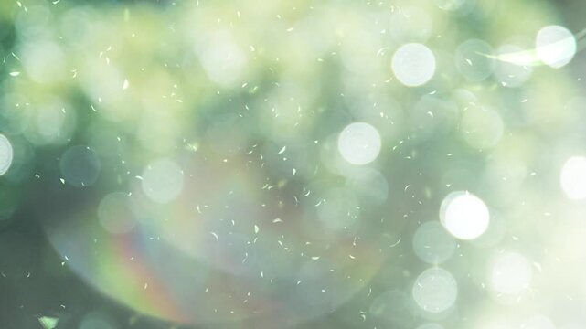 Sunlit Green Forest with Floating Leaves and Lens Ghosts, Early Summer