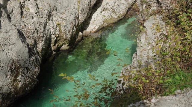 Vibrant emerald-green Soča River flowing through the steep limestone walls of the Velika Korita canyon in the heart of the Slovenian Alps during summer.