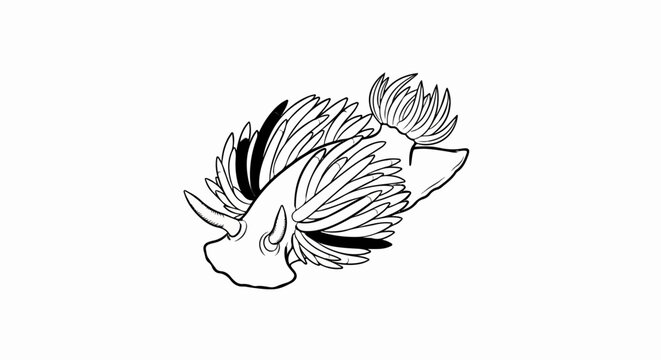 A black and white sketch of a sea slug with feathery cerata