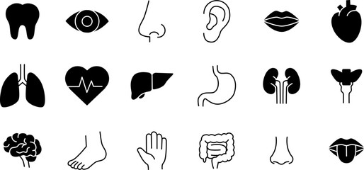Obraz premium Human Organs Icon Set. Human Organs Thin Line and solid Illustrations. Editable Vector Signs Collection
