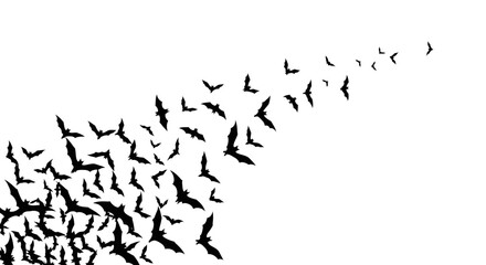 A large flock of black bats flying in a swirling pattern against a white background. © Avoxel