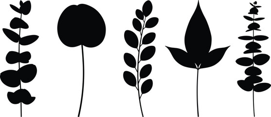 Eucalyptus leaves silhouette collection, organic floral elements set, botanical garden greenery, nature plant branch icons, flavector, decorative foliage for minimal design. © MDMEHEDI
