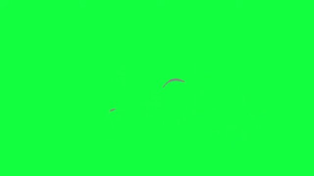 Gray 2d cartoon smoke puff animation for explosion or steam effect isolated on green screen background