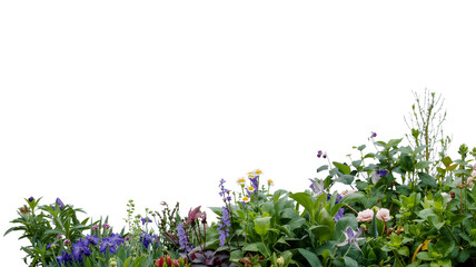 Floral border with colorful flowers and greenery