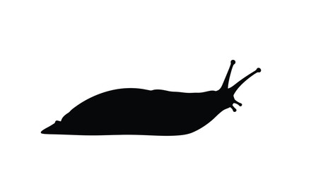 A simple black silhouette of a garden snail side view shown © MdAlamin