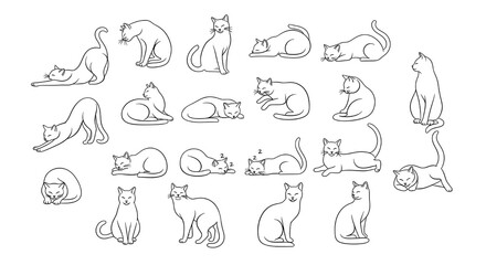 set of hand drawn cat illustrations