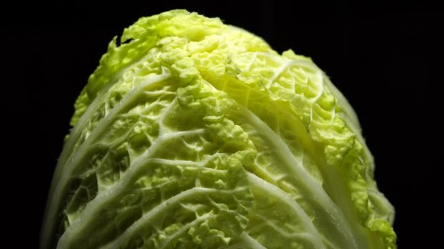 Napa cabbage rotating on dark background. Studio lighting.