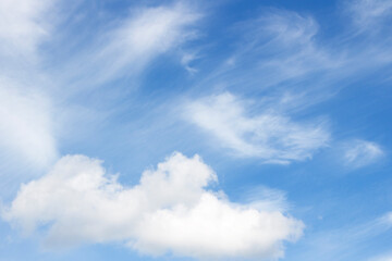 Fototapeta premium Blank sky surface with small clouds