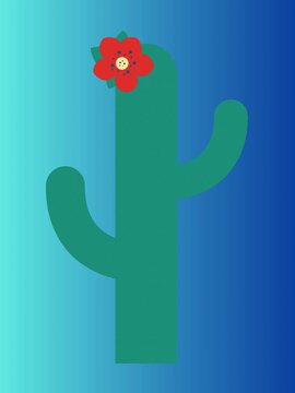 cactus blooms 