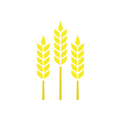Three yellow wheat stalks illustration on white background.