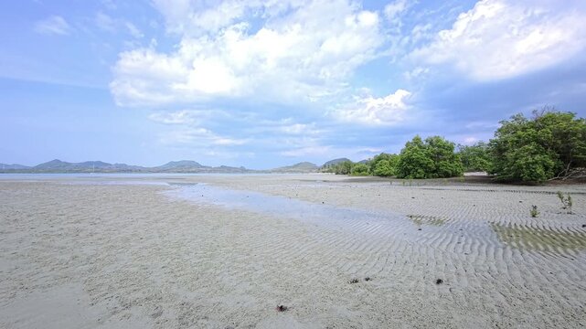 Rippled wet sandflat beside mangrove edge under soft daylight in Thailand