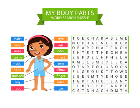 
My Body Parts &ndash; Word Search Puzzle for Kids
Cute educational illustration for children featuring a smiling cartoon girl with labeled body parts and a word search puzzle. Fun learning activity designe