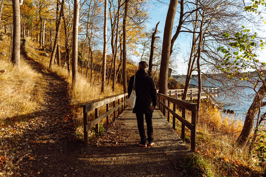 Man Walking on Forest Path with Wooden Railings in Autumn Sunlight