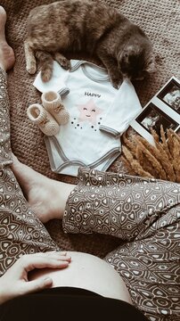Cat with baby clothes, ultrasounds and pregnant belly.