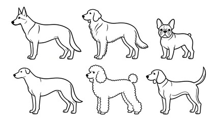 Set Of Dog Breed Line Drawings