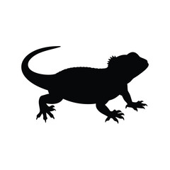 Obraz premium tuatara silhouette vector illustration, A stylish black and white lizard silhouette vector illustration for modern animal design