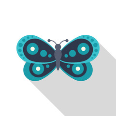 Obraz premium Insect butterfly with abstract patterns, icon or symbol in blue tones