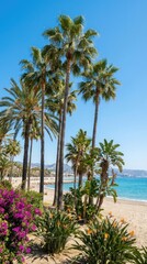 Fototapeta premium Palm tree tropical plants on beach under blue sky Malaga