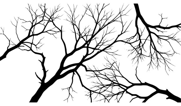 Abstract Leafless Tree Branch Silhouette Vector for Autumn and Forest Design