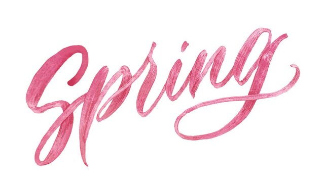 Handwritten brush calligraphy stroke animation of the word Spring with pink ink