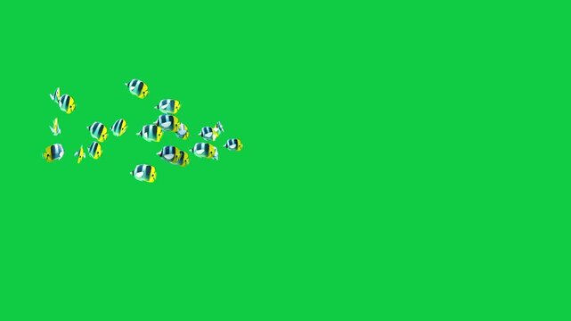 Shoaling and schooling of Beautiful coral reefs and tropical fish aquarium colorful sea salt water fantasy avatar alien fish deep sea fish green blue black screen