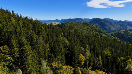 Aerial view of lush green forest with mountains creating a serene nature setting, Sitka, Alaska, USA.