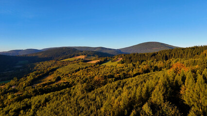 Obraz premium Aerial view of yellow aspen and green pine forests in early autumn in Colorado, USA. A picturesque autumn mountain landscape.