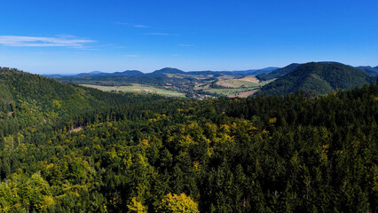 Obraz premium Lush green coniferous forest mountains creating a serene view of nature USA.
