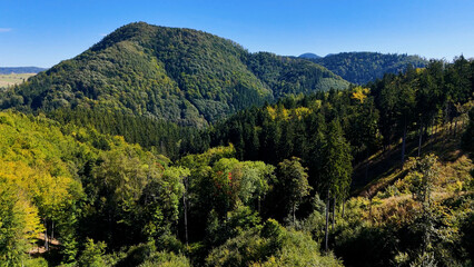 Drone view autumn view coniferous forest hills mountains USA.