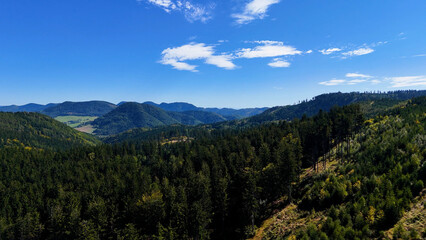 Obraz premium Drone view autumn view coniferous forest hills mountains USA.