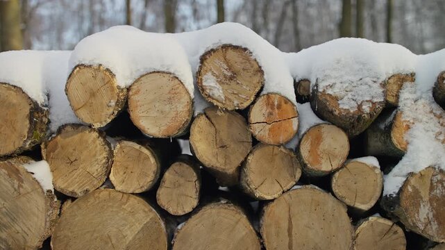 Stacked Firewood Covered with Snow in Winter
