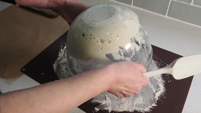 Putting homemade bread with sourdough onto floured sheet in the kitchen.