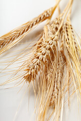 Naklejka premium Golden wheat stalks are laid on a plain surface in bright natural light during the daytime