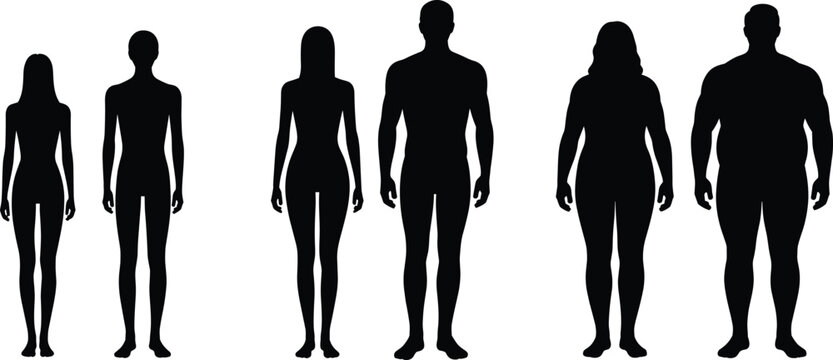 Human Body Silhouette Set Showing Different Male and Female Body Types Front View Vector Illustration Isolated on White Background Anatomy Collection