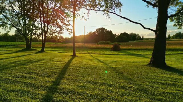 Golden sunset casting long tree shadows across green meadow with haystack and rural fields