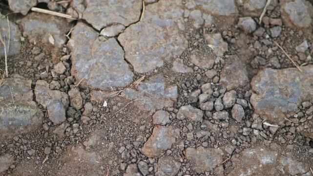 close-up view of cracked dry soil and rough ground texture, showing natural patterns formed by drought and erosion. day time, stable shot, 4k.