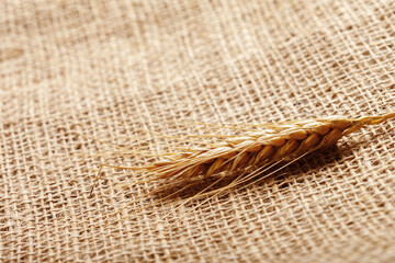 Naklejka premium Wheat stalk rests on burlap fabric in a simple agricultural setting