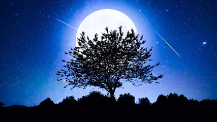 Blue hour time with lunar eclipse, stars and planets above landscape silhouettes. © astrosystem